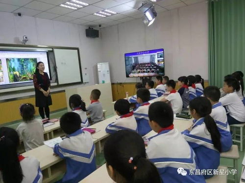 放飛想象，快樂(lè)共享 新星小學(xué)與大榮小學(xué)美術(shù)互動(dòng)課堂紀(jì)實(shí)
